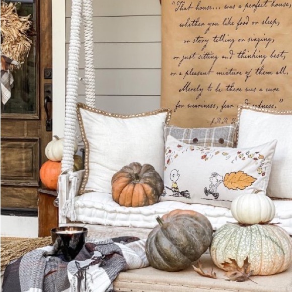 Pottery Barn Accents Pottery Barn Peanuts Sally Charlie Brown Fall